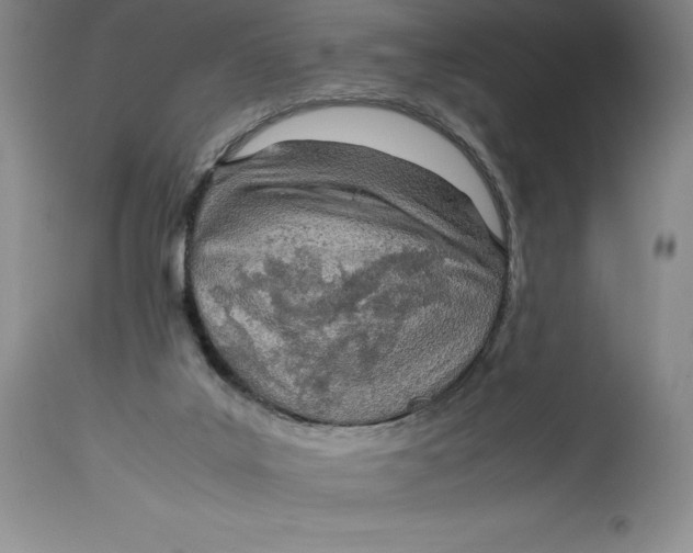 X0000113990019200910231739