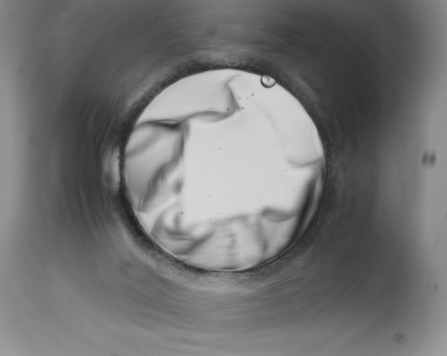 X0000113990020200910231739