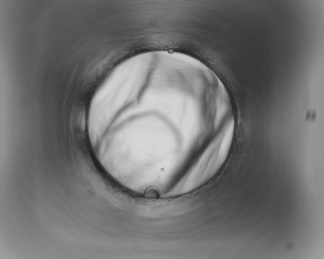 X0000113990021200910231739