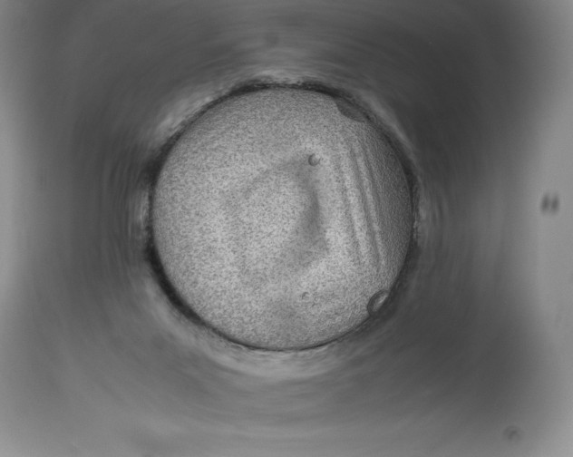 X0000113990023200910231739