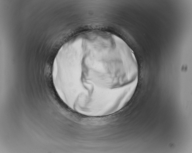 X0000113990025200910231739