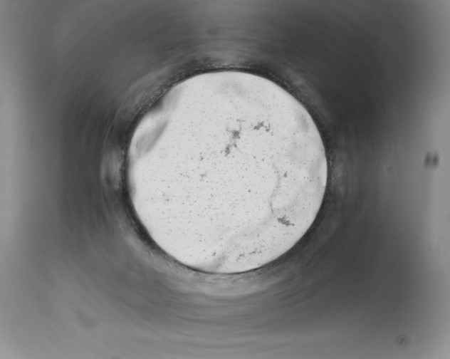 X0000113990026200910231739