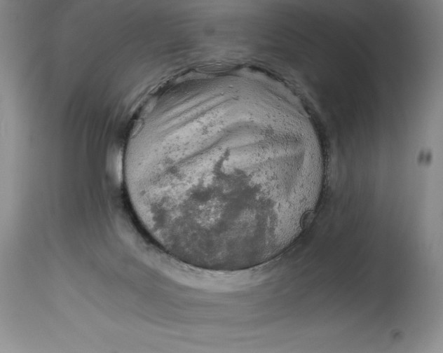 X0000113990027200910231739