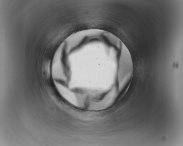 X0000113990028200910231739