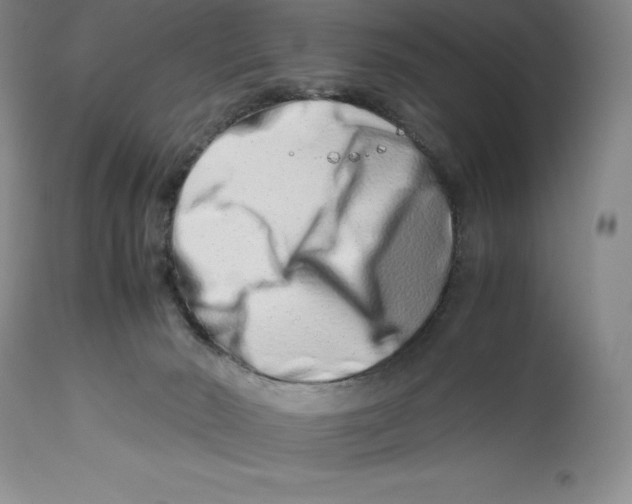 X0000113990030200910231739