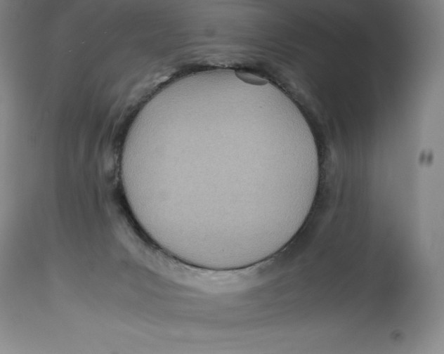 X0000113990031200910231739