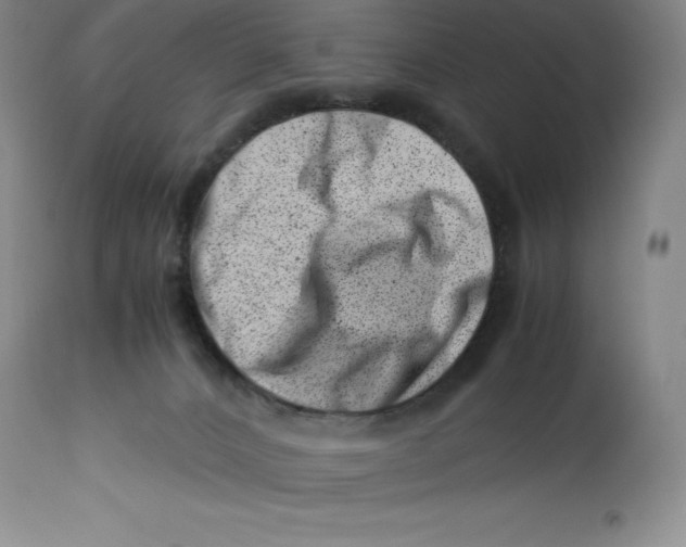 X0000113990032200910231739