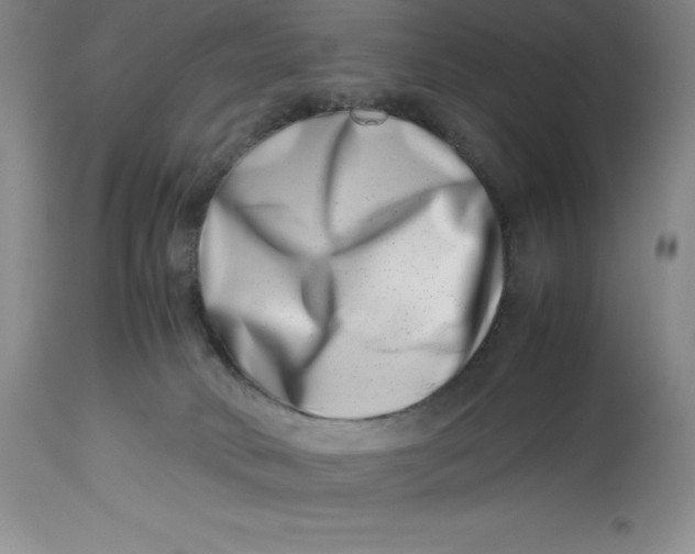 X0000113990034200910231739