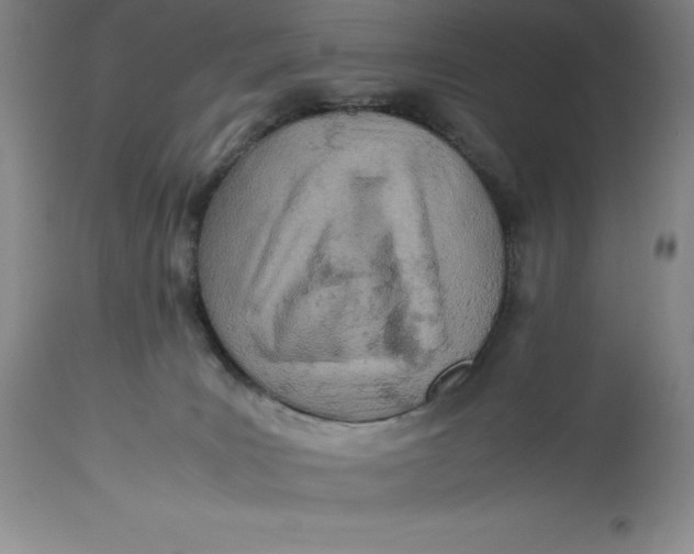 X0000113990035200910231739