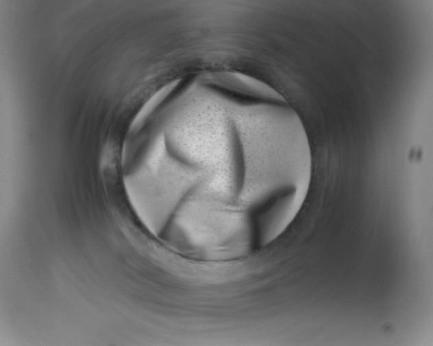 X0000113990038200910231739