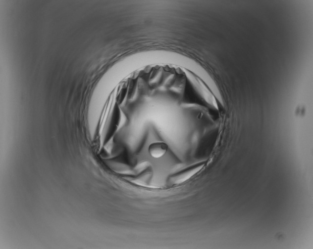 X0000113990039200910231739