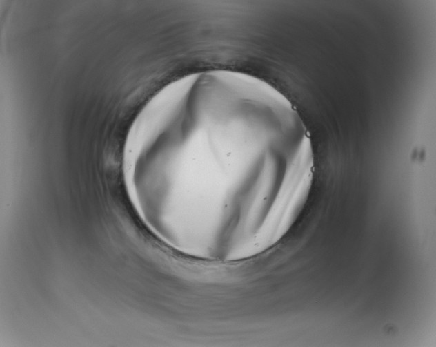 X0000113990040200910231739