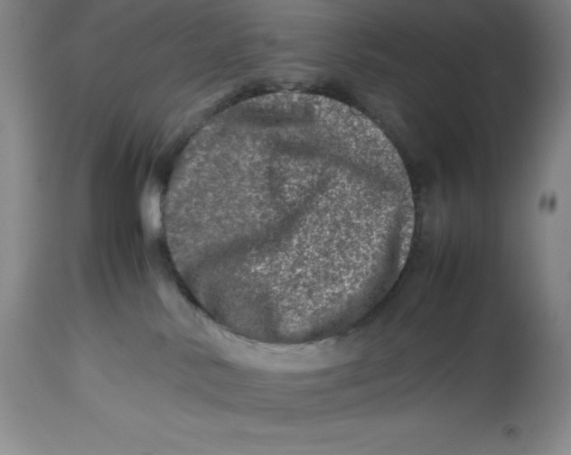 X0000113990042200910231739