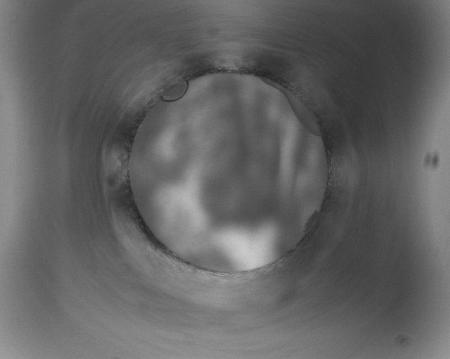 X0000113990043200910231739