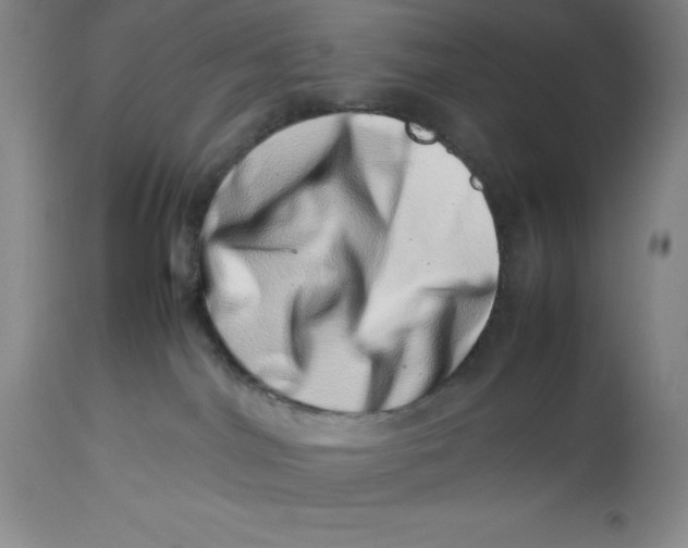 X0000113990044200910231739