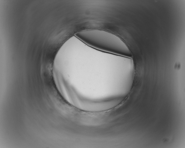 X0000113990045200910231739