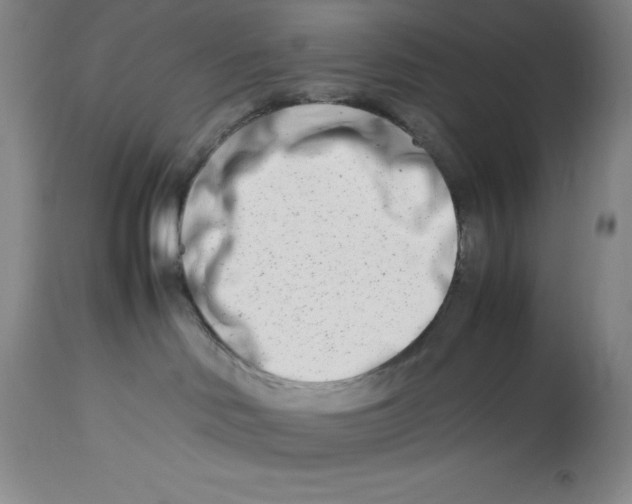 X0000113990046200910231739