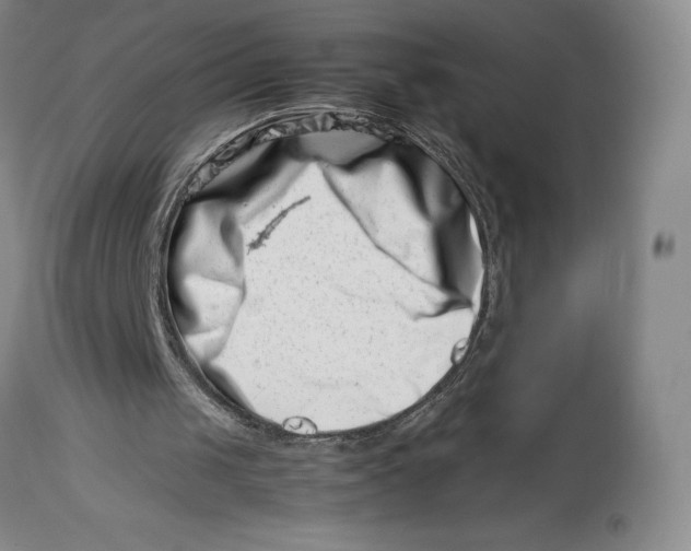 X0000113990049200910231738