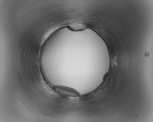 X0000113990052200910231738