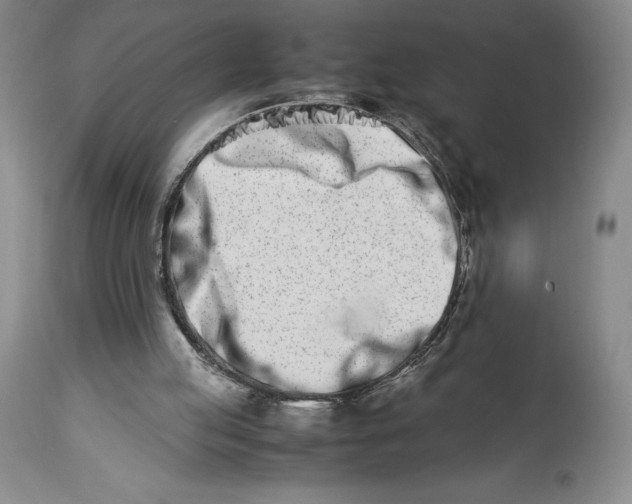 X0000113990053200910231738