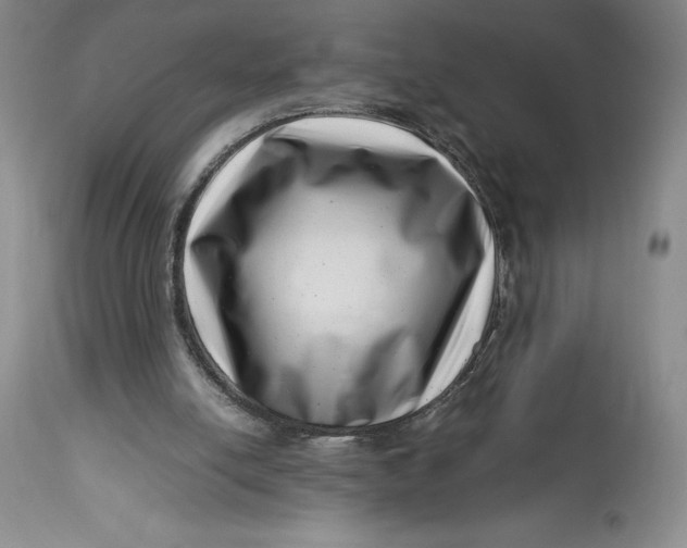 X0000113990054200910231738