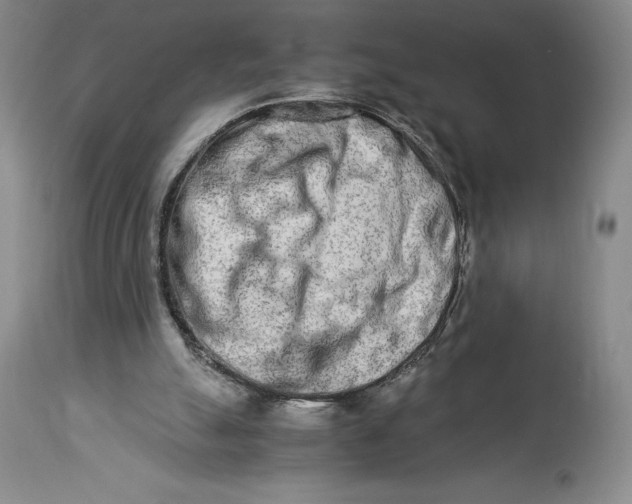 X0000113990055200910231738