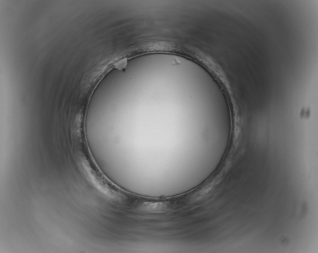 X0000113990057200910231738