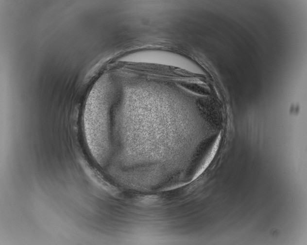 X0000113990058200910231739