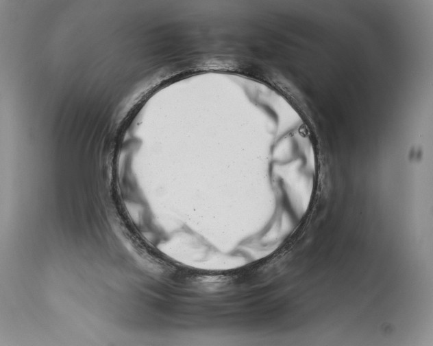 X0000113990059200910231739