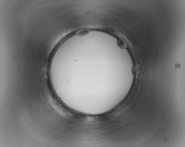 X0000113990060200910231739