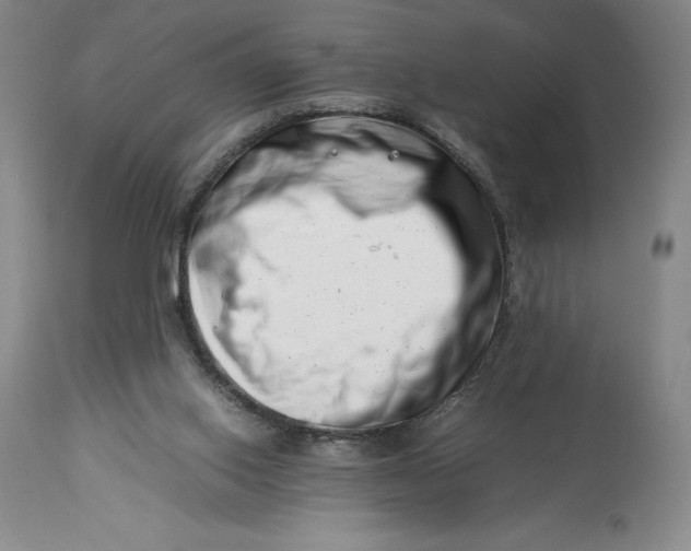 X0000113990062200910231739