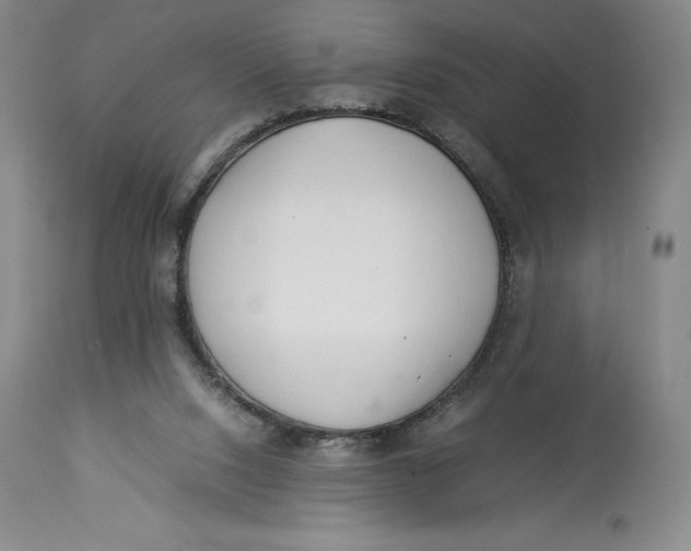 X0000113990064200910231739