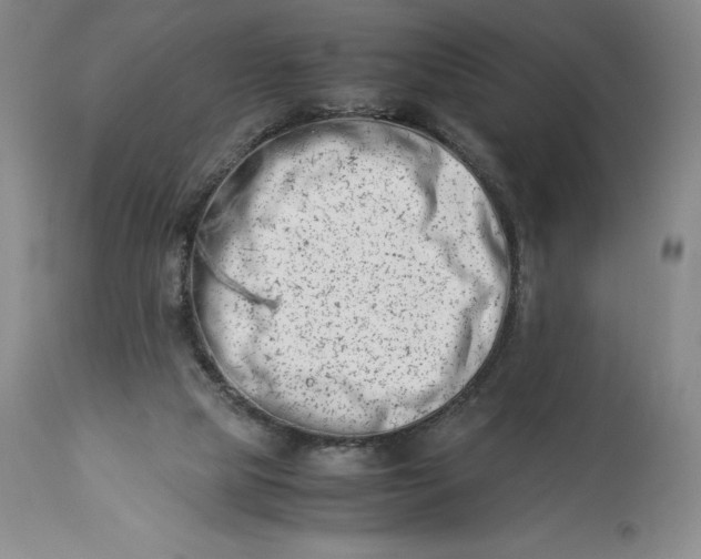 X0000113990065200910231739