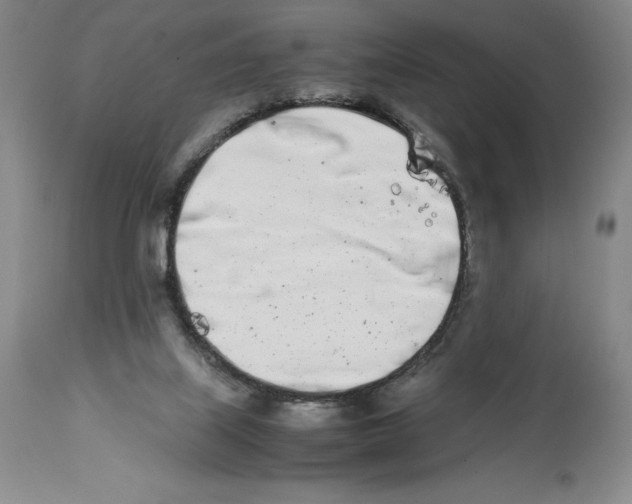 X0000113990067200910231739