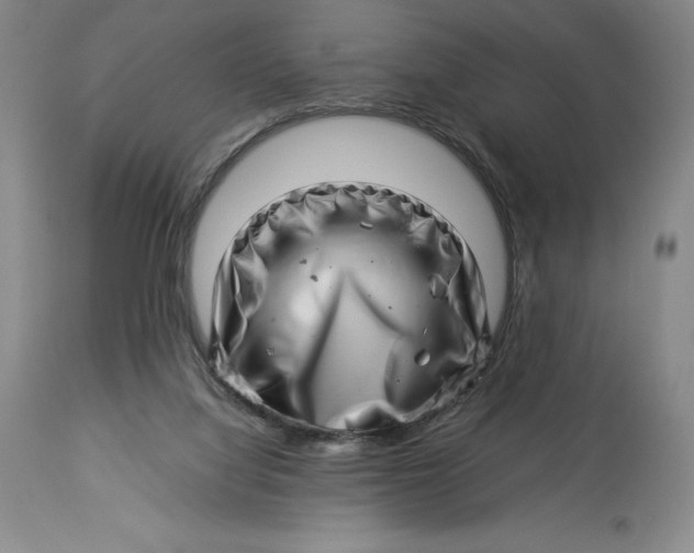 X0000113990068200910231739