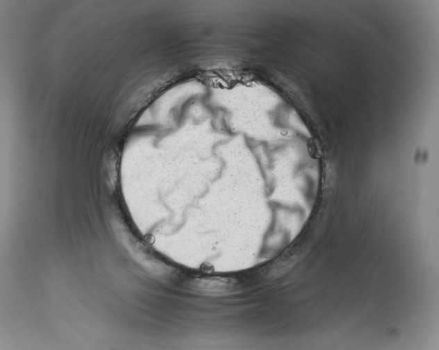 X0000113990069200910231739