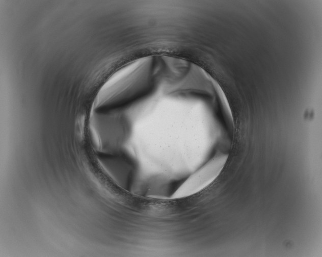 X0000113990070200910231739