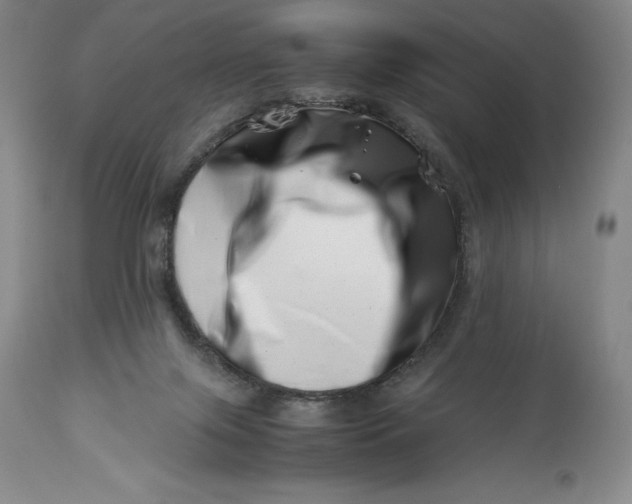 X0000113990071200910231739