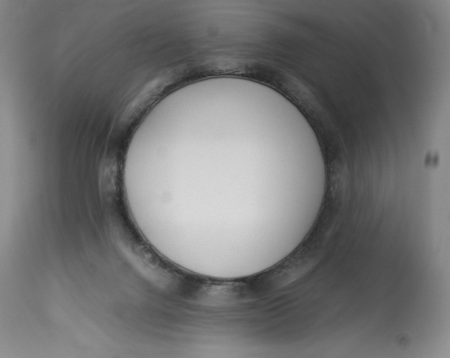 X0000113990072200910231739