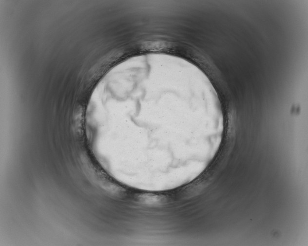 X0000113990073200910231739