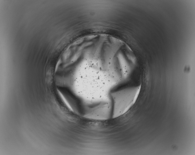 X0000113990074200910231739