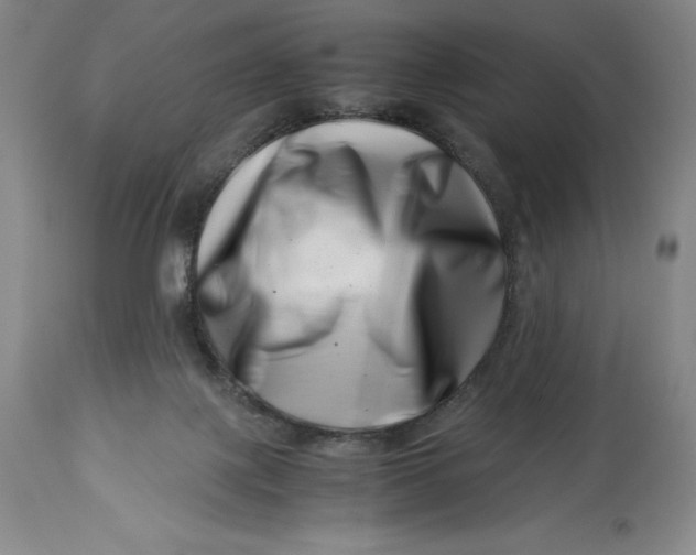 X0000113990075200910231739