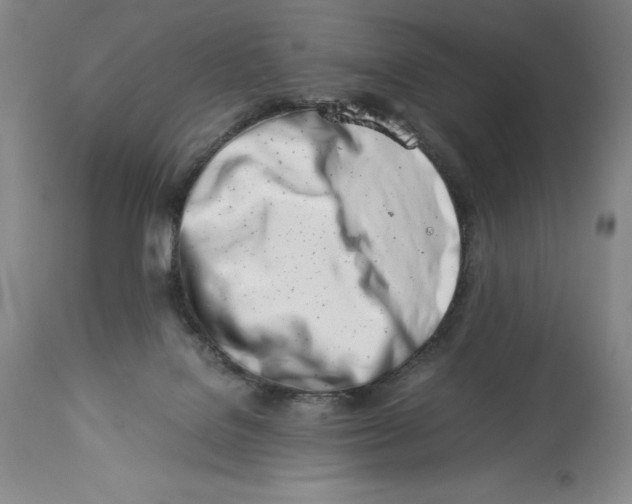 X0000113990076200910231739