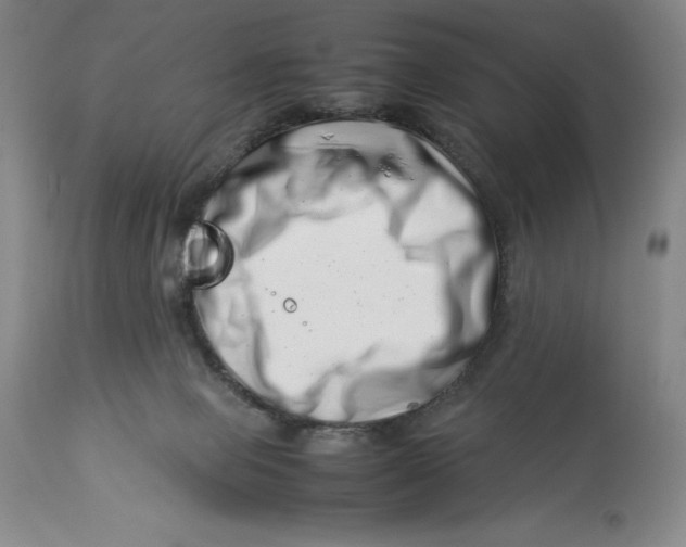 X0000113990077200910231739