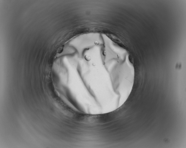 X0000113990078200910231739