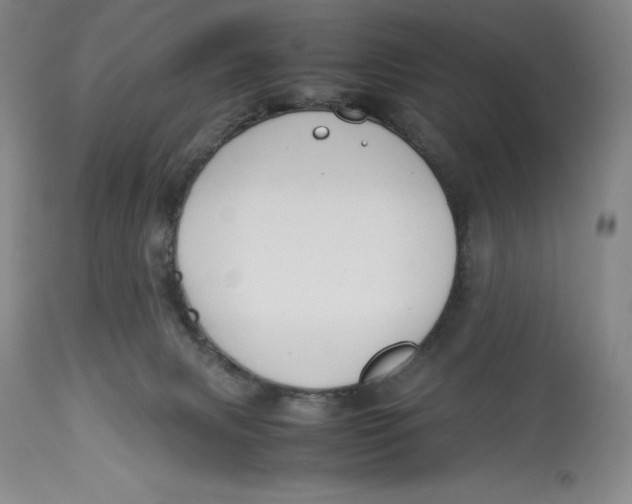 X0000113990079200910231739