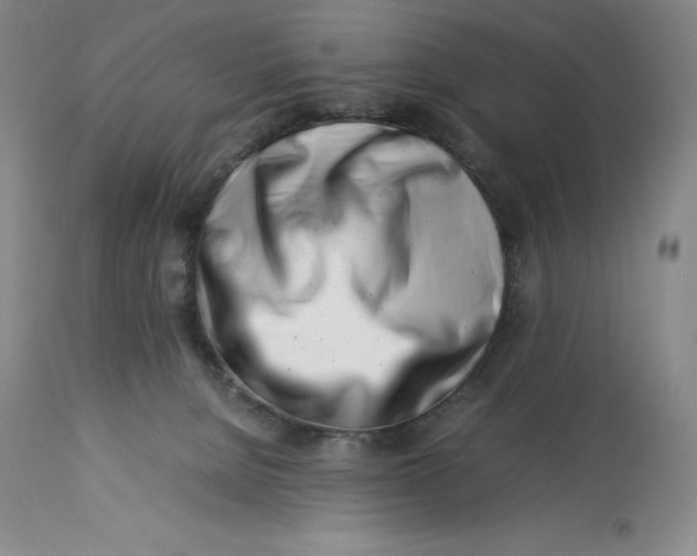 X0000113990080200910231739