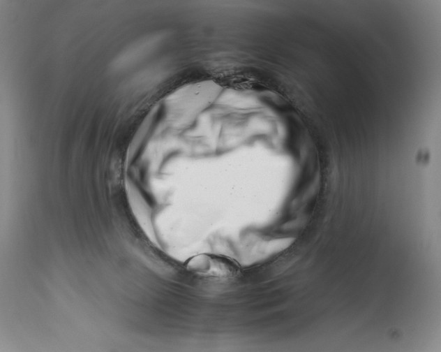 X0000113990081200910231739