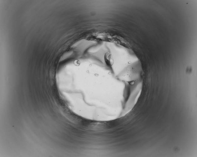 X0000113990082200910231739