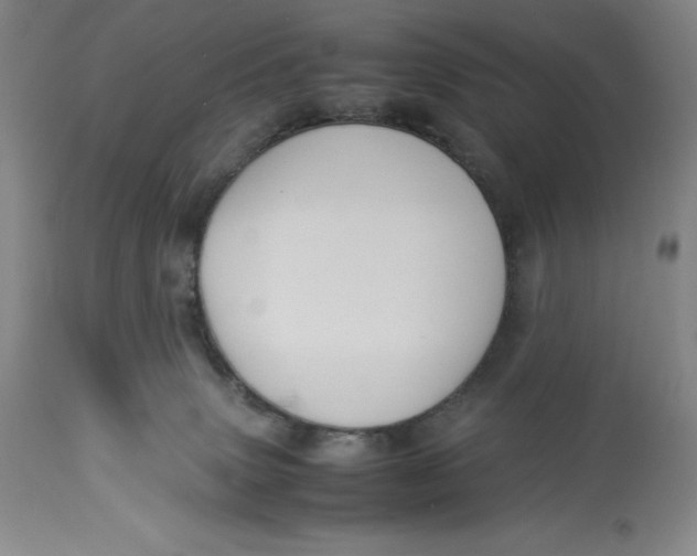 X0000113990083200910231739